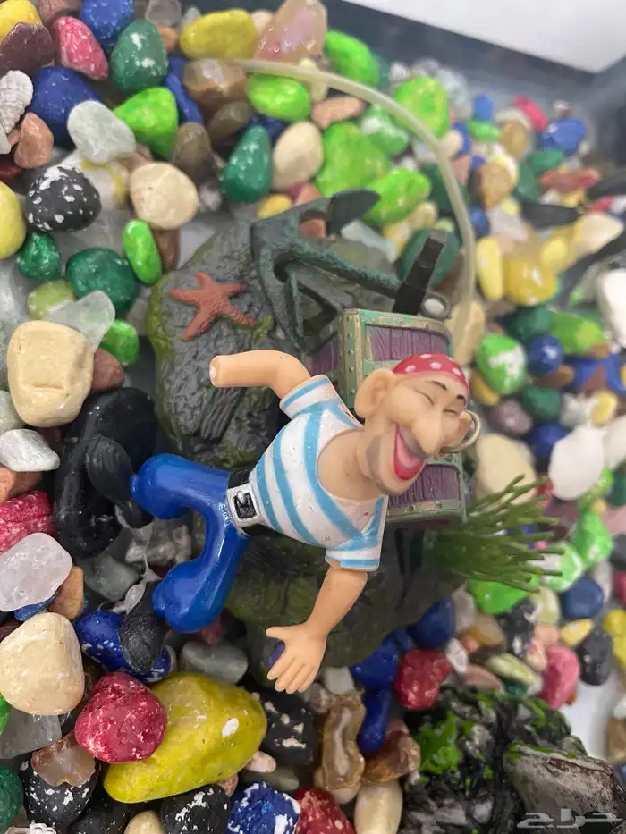 حوض سمك مع الدولاب 7