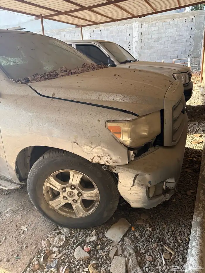 سكويا للبيع 2013 تشليح 1