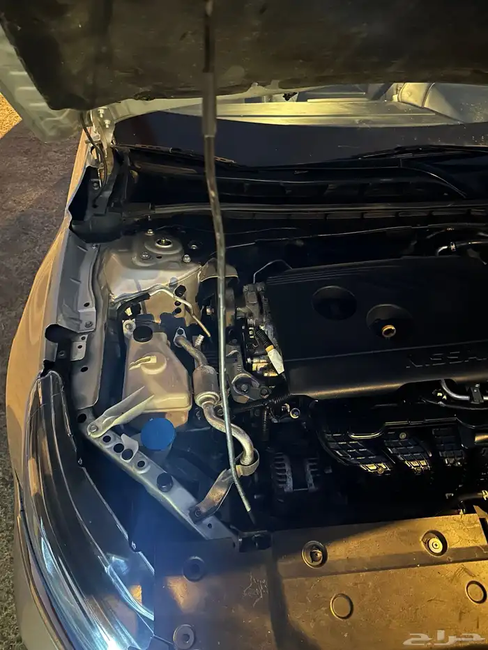 التيما 2020 12