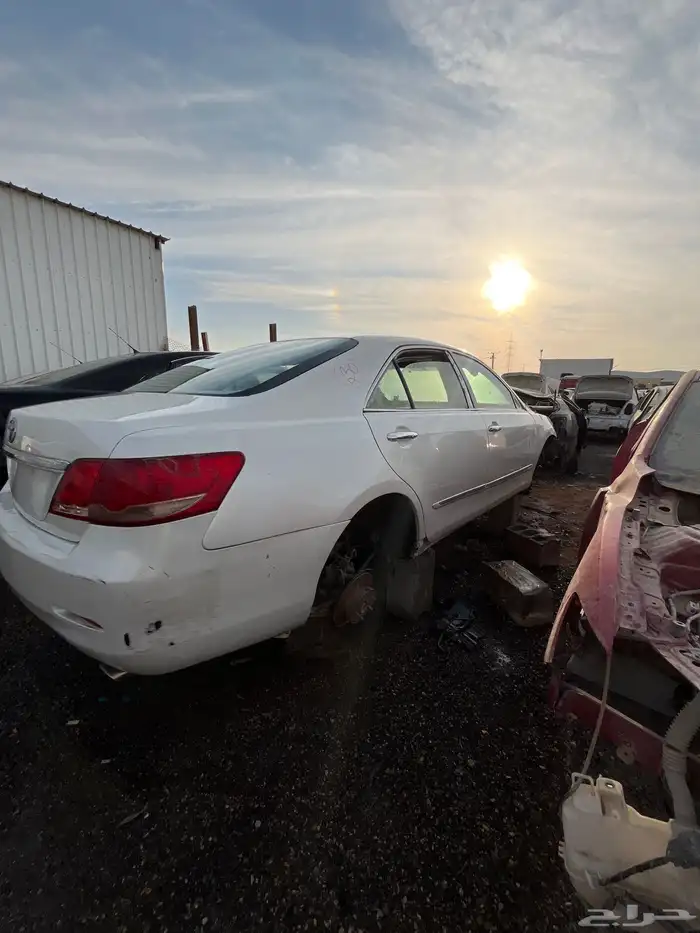 أوريون تشليح 7