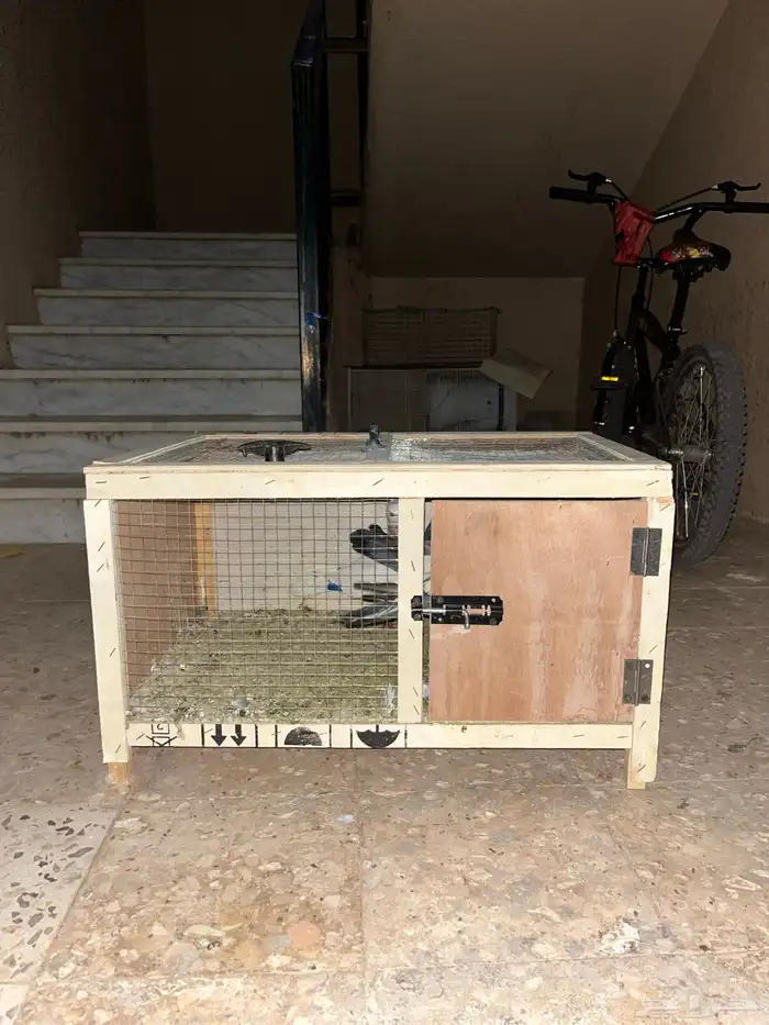 محكمة نظيف مستخدم أسبوع واحد على السوم بدون الحمام 4