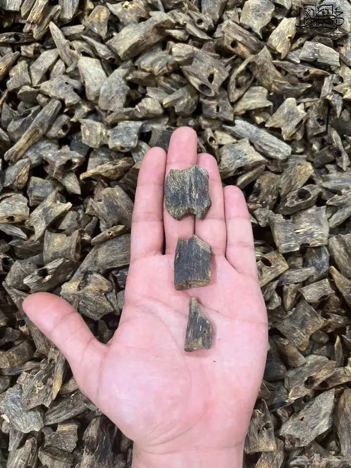 عود صيني كينام دبل وتربل سوبر طبيعي 1