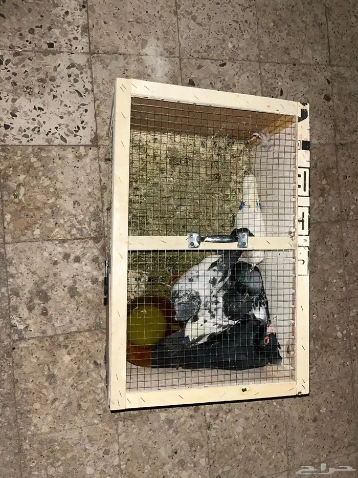 محكمة نظيف مستخدم أسبوع واحد على السوم بدون الحمام 2