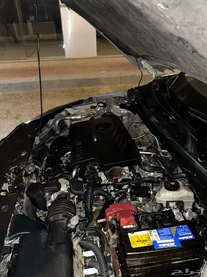 التيما 2020 14