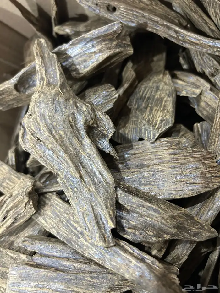 عود سومطري محسن 0