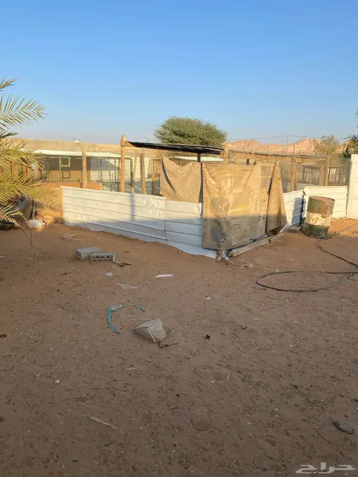 للبيع شينكو نظيف مع شبوك نظيفه معها صندقه جاهزه فك وتركيب 0