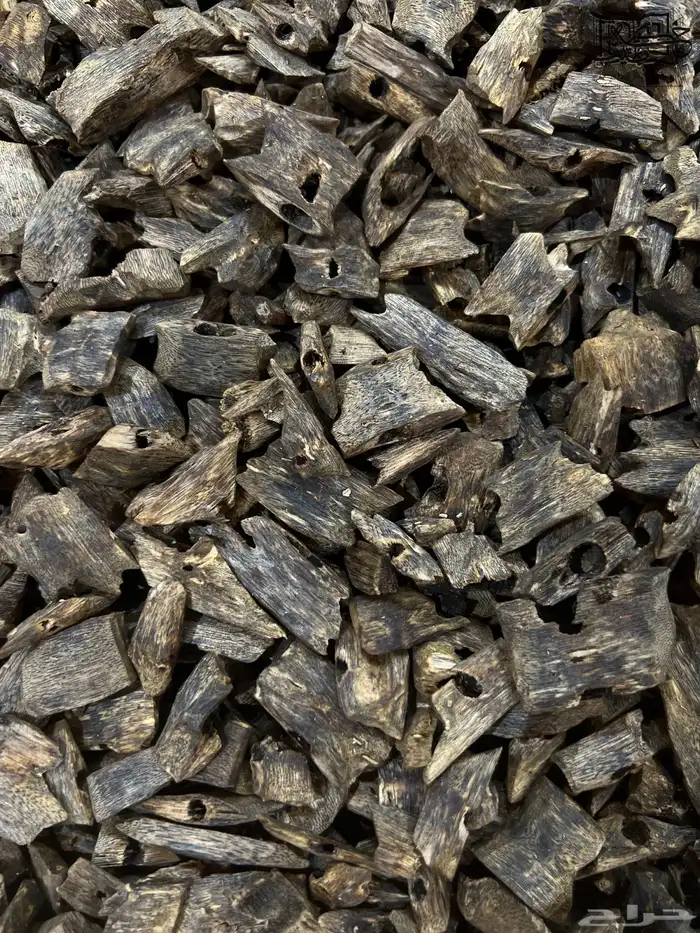 عود صيني كينام دبل وتربل سوبر طبيعي 3