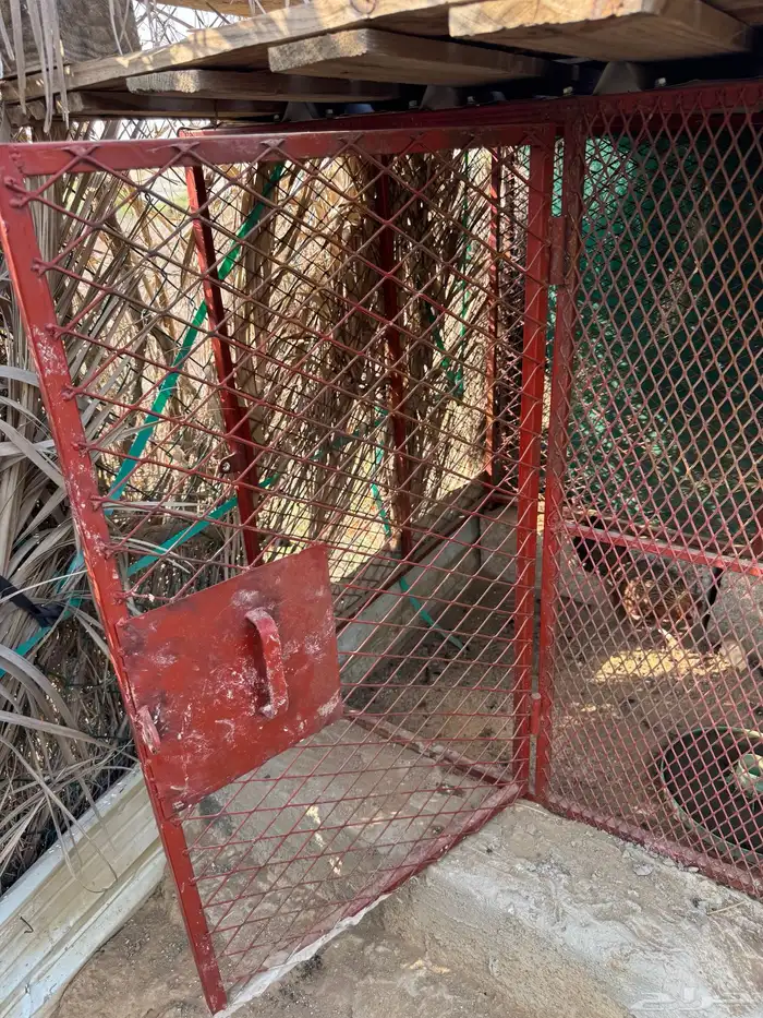 قفص   شبك 8