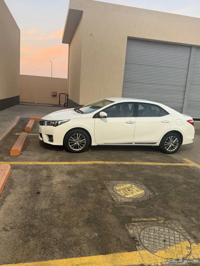 كورلا نص فل 7