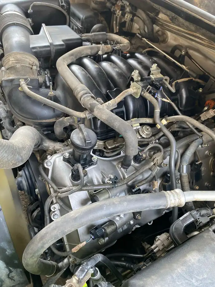 مكينة سكويا 0