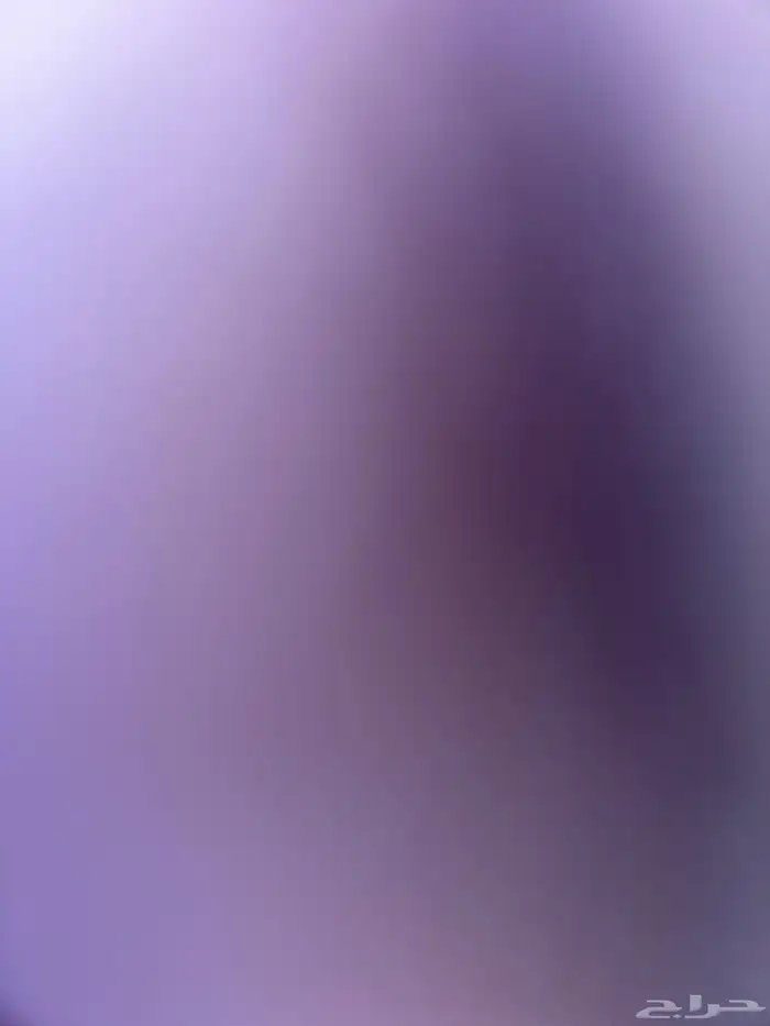 ابي شقه للايجار 0