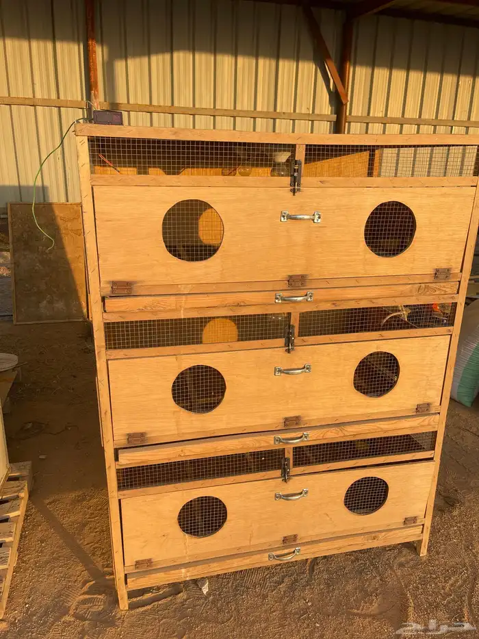 فقاسه 1056 بيضه فل تماتيك   حضانه 1