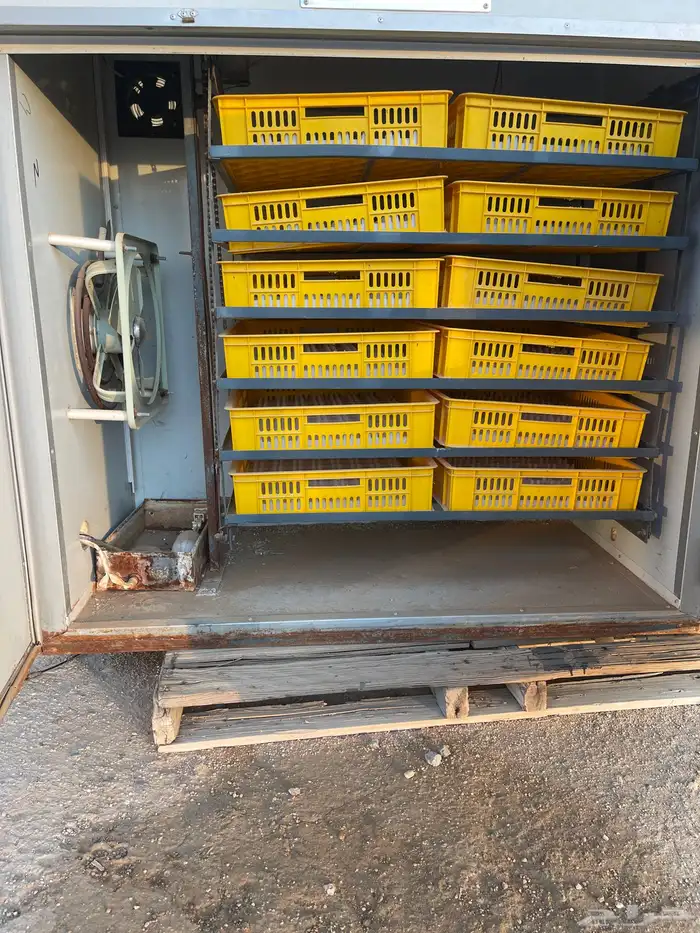 فقاسه 1056 بيضه فل تماتيك   حضانه 3