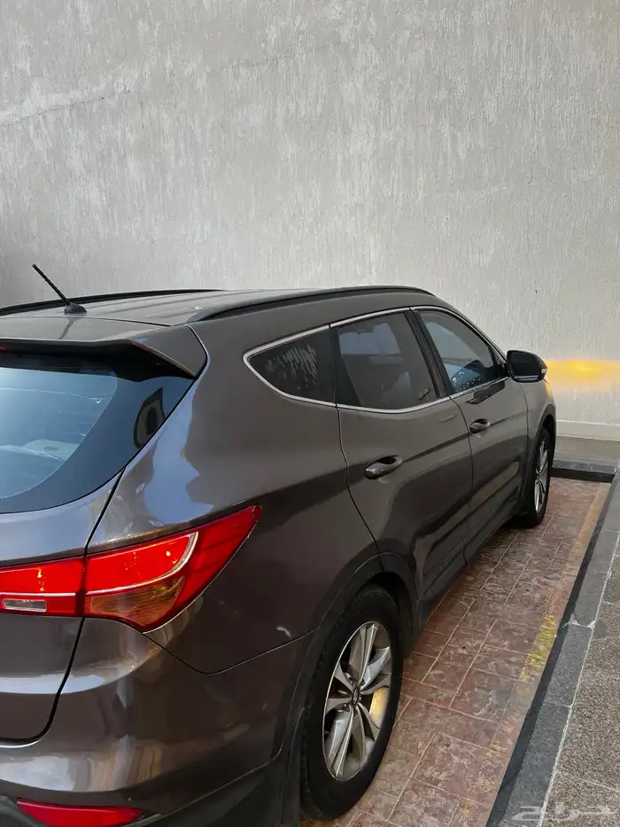 سنتافي 2016 19