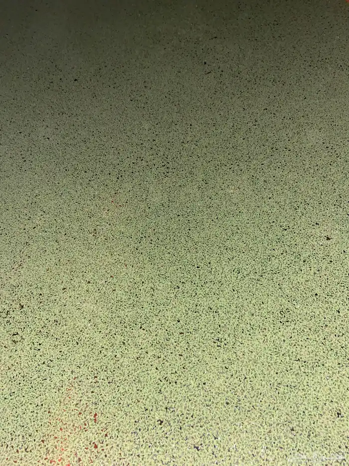 نبتة الازولا بديل الاعلاف للمواشي والطيور 0