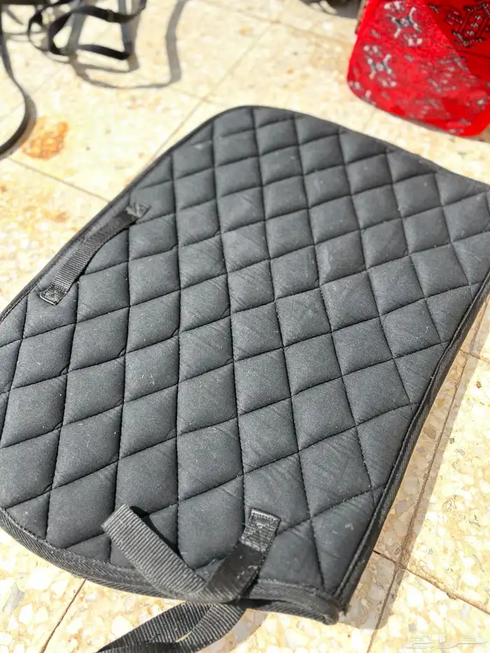 سرج ستيتوس 8