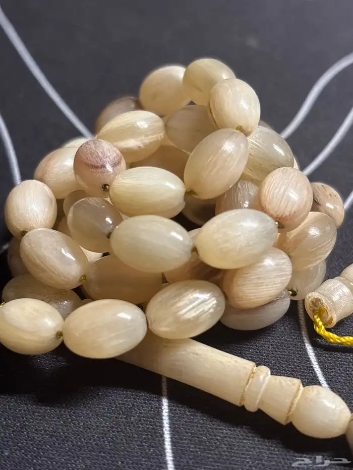 سبحة قرن ضان 2