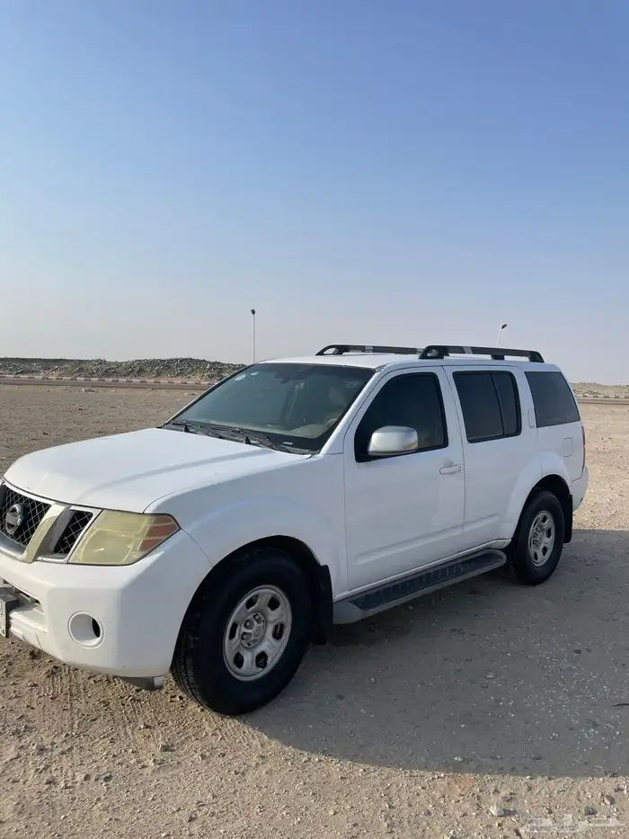 باثفندر 2010 0