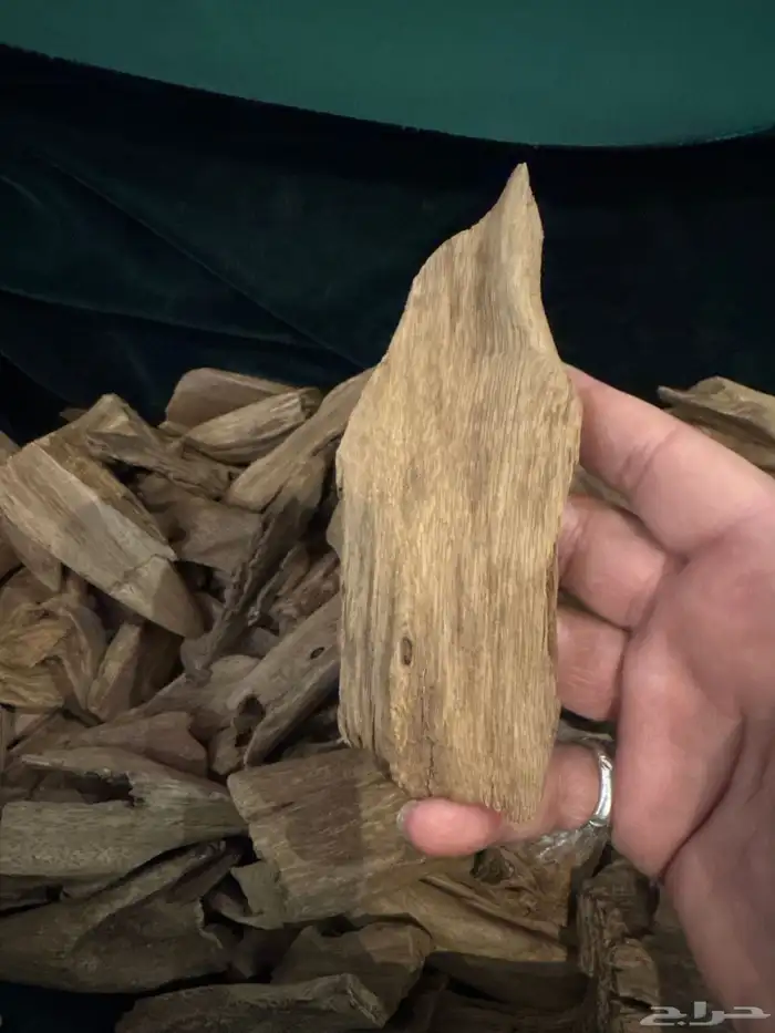 عود مروكي أصقون طبيعي 100  100 0