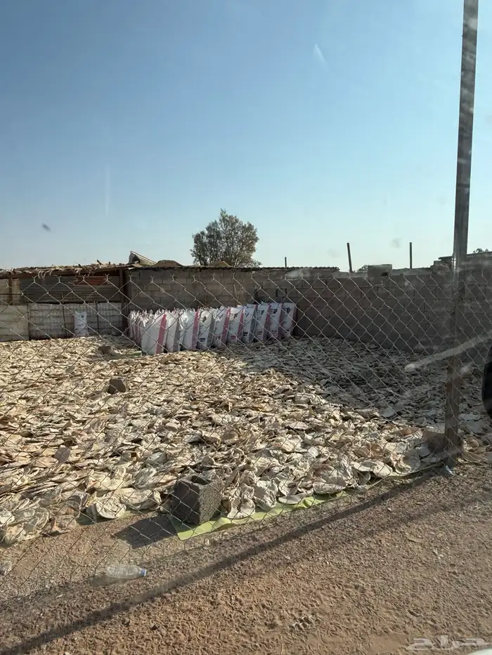 خبز حلال نظيف شرط وعبو طيب 0