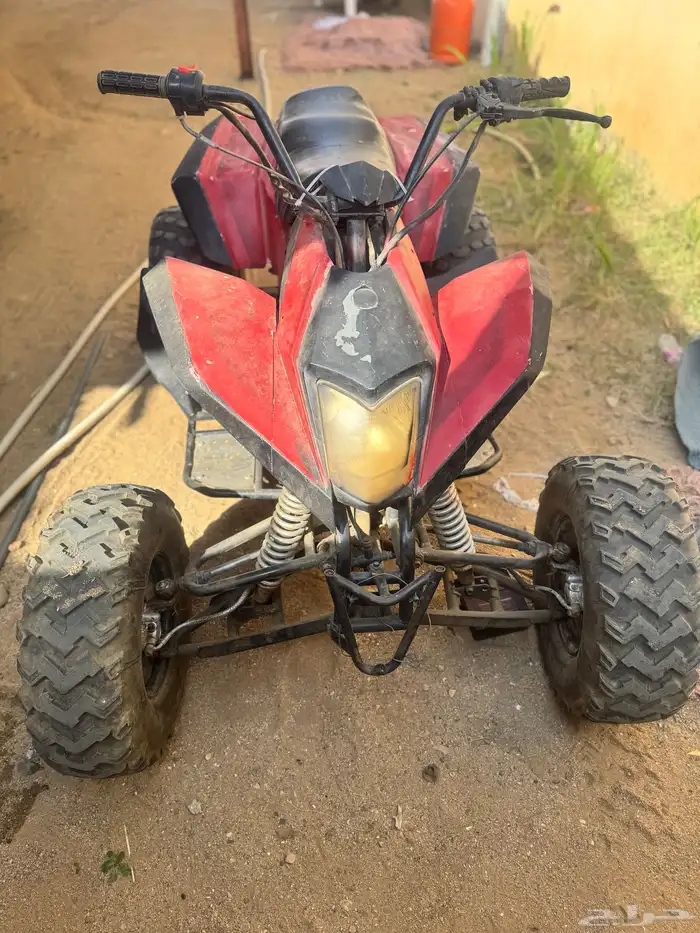 دباب شبيه الرابتر صيني للبيع 2