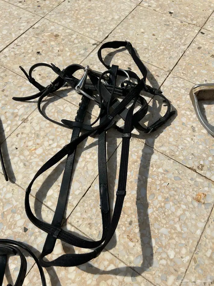 سرج ستيتوس 5