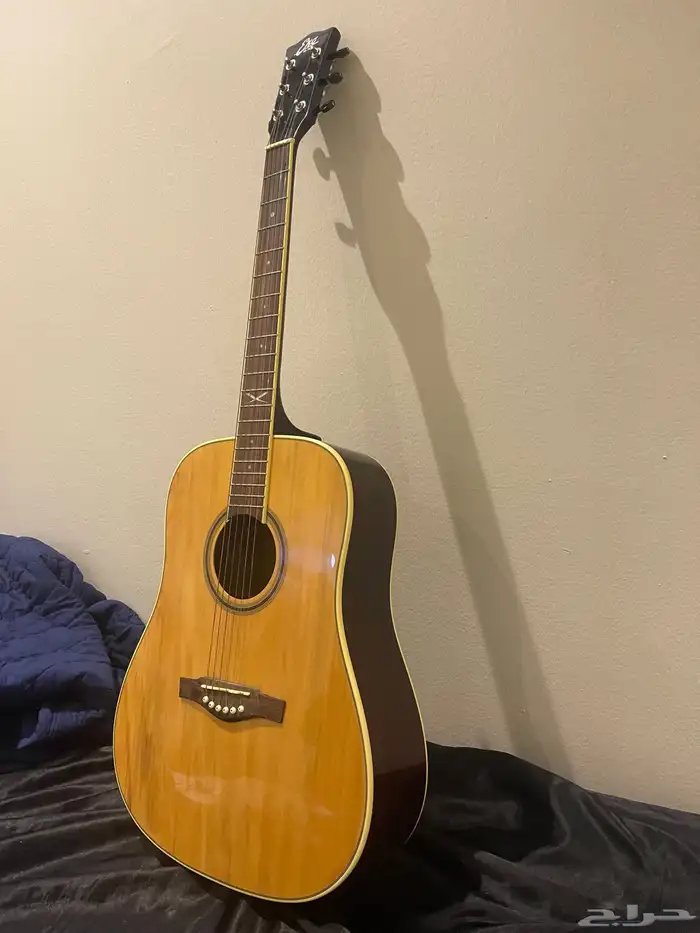 اكوستك قيتار eko 0