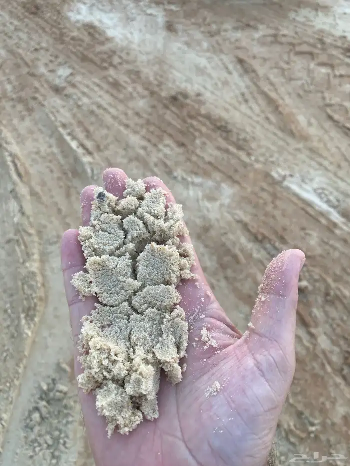 رمل أبيض رمل احمر زيرو  ذبان بحص 0