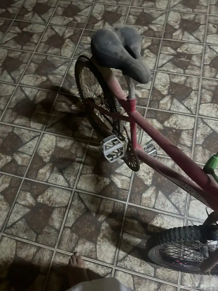 سيكل كوبرا 3