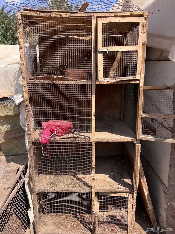 شبوك بقلاوه 3