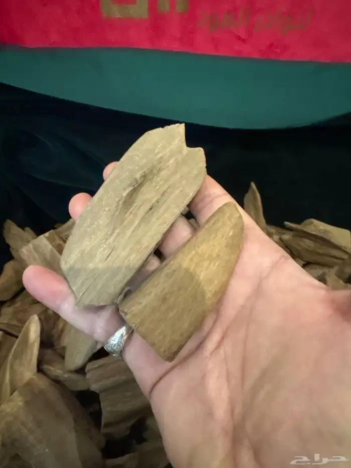 عود مروكي أصقون طبيعي 100  100 3