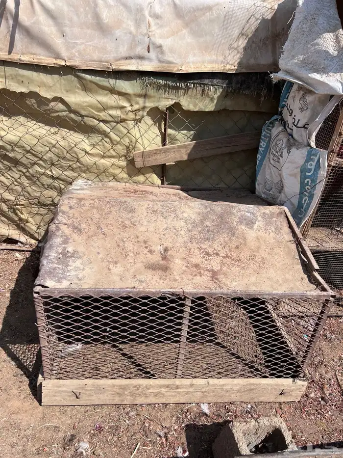 شبوك بقلاوه 2