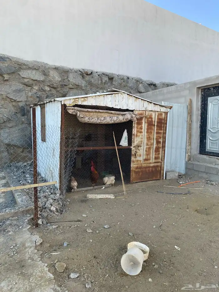 شبك حلال مبطن 0