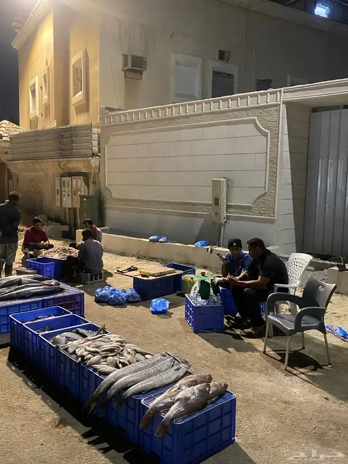 البدوح للأسماك بيع بلعروض 0