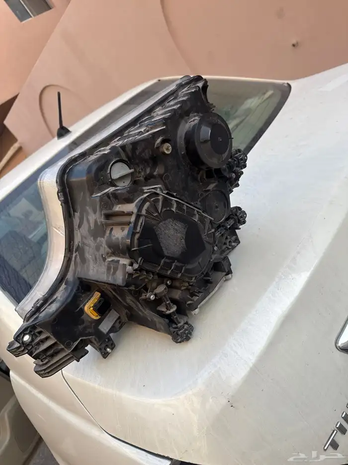 للبيع اسطب سي 2