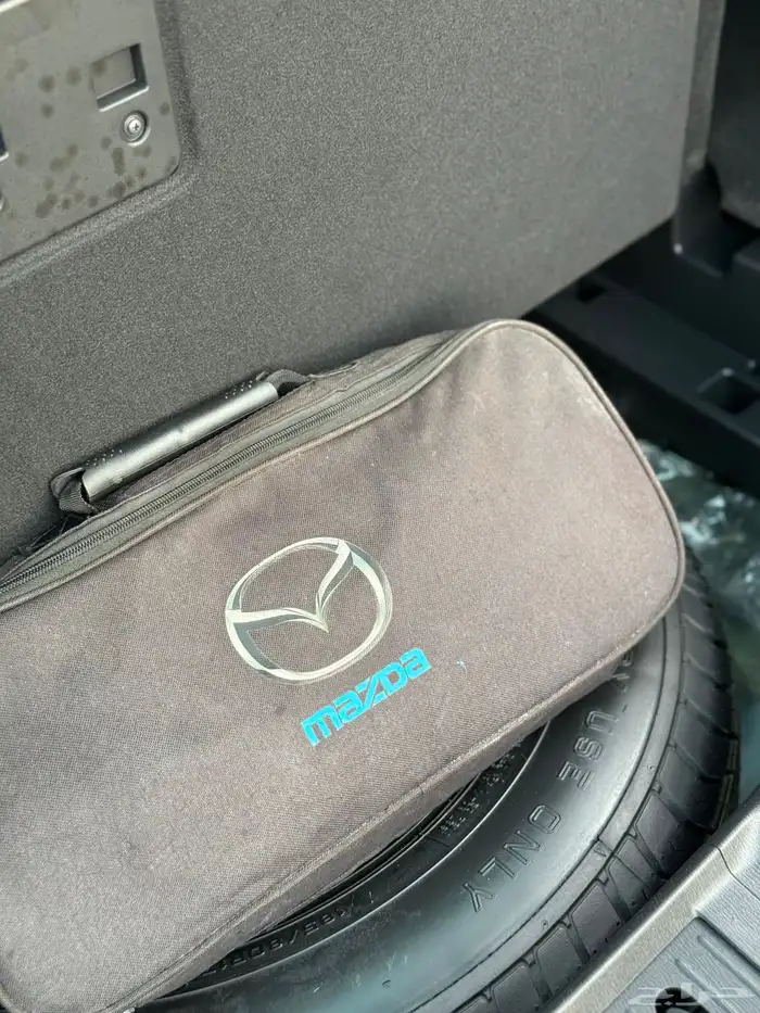 للبيع مازدا cx9 2021 فل كامل ( سجنتشر ) 25