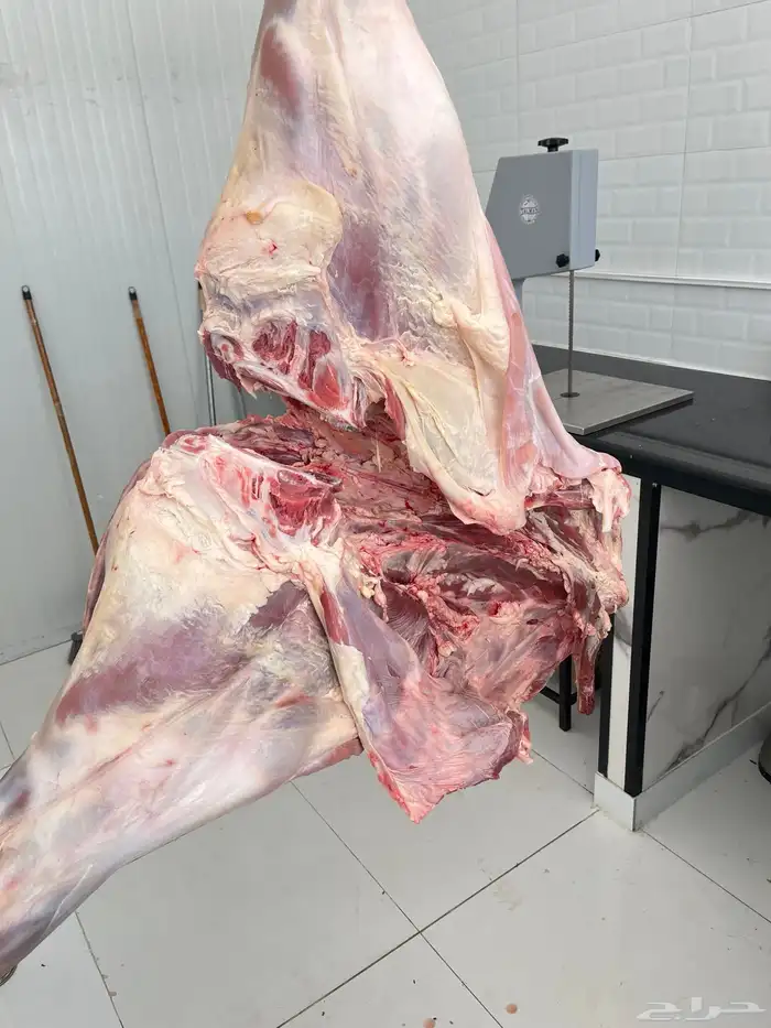 ملحمة الصالحة للحوم الطازجة. وأجود أنواع اللحوم 1