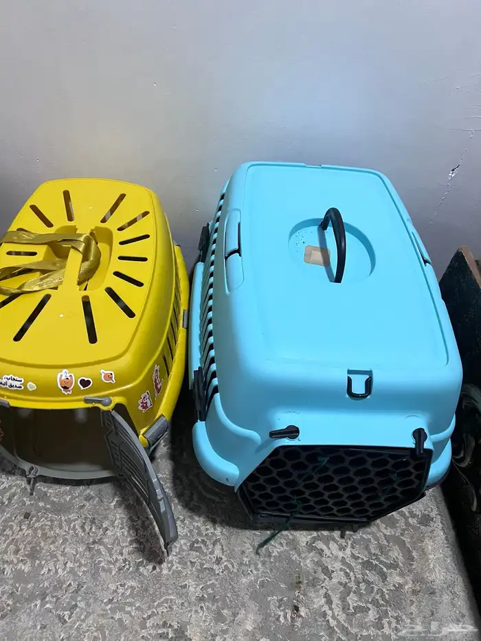 قطوه هملايا للتبني 0