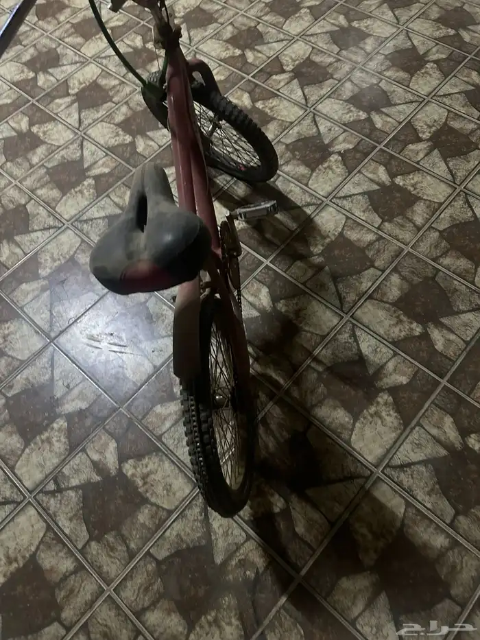 سيكل كوبرا 0