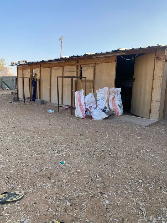 للبيع شينكو نظيف مع شبوك نظيفه معها صندقه جاهزه فك وتركيب 3