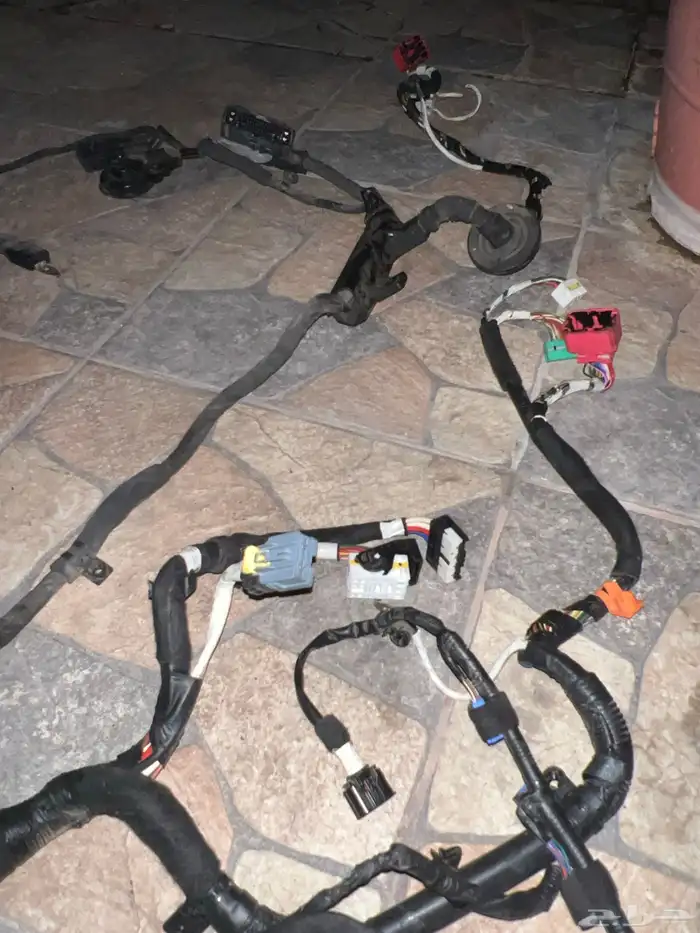 ضفيره ازيرا2018 5