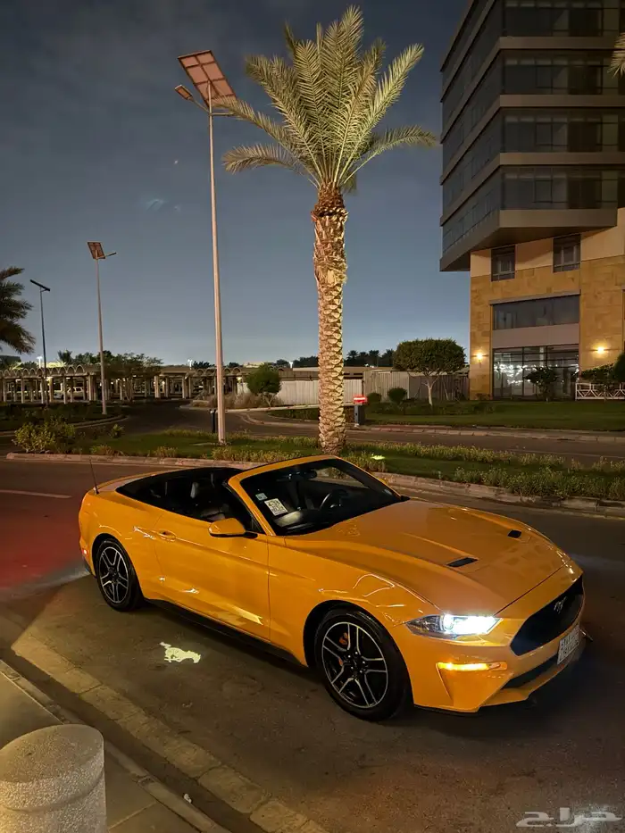 موستنق 2018 ( كشف - فل كامل ) 49