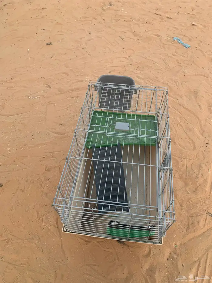 شبك او قفص طيور و وبران 2