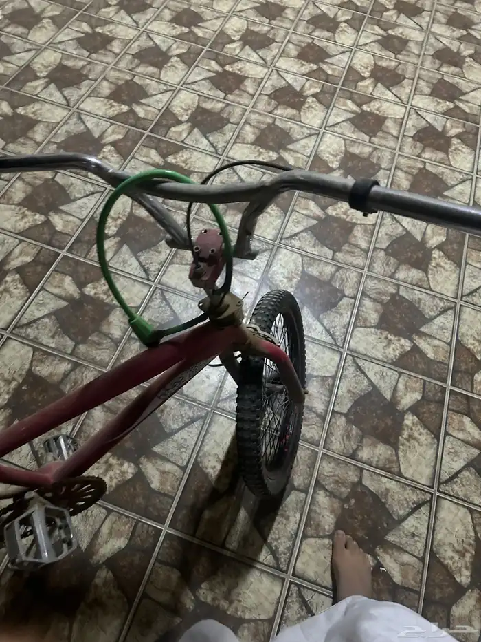 سيكل كوبرا 2