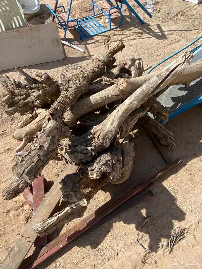 للبيع حطب مخلط سمر ومخلوط وخشب مرابيع كذالك 5