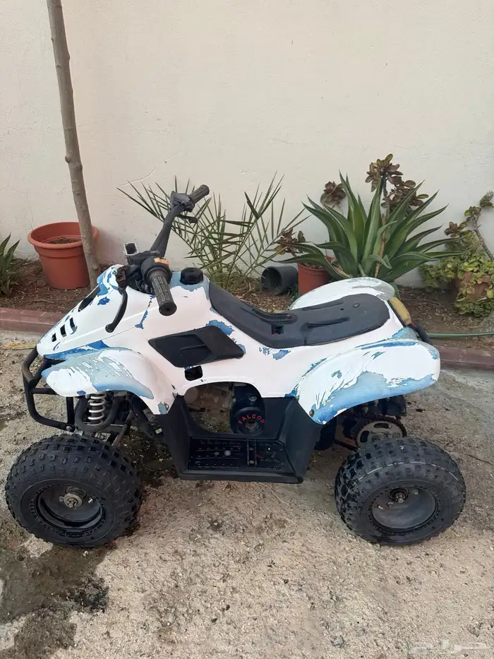 دباب صيني حجم 70 2