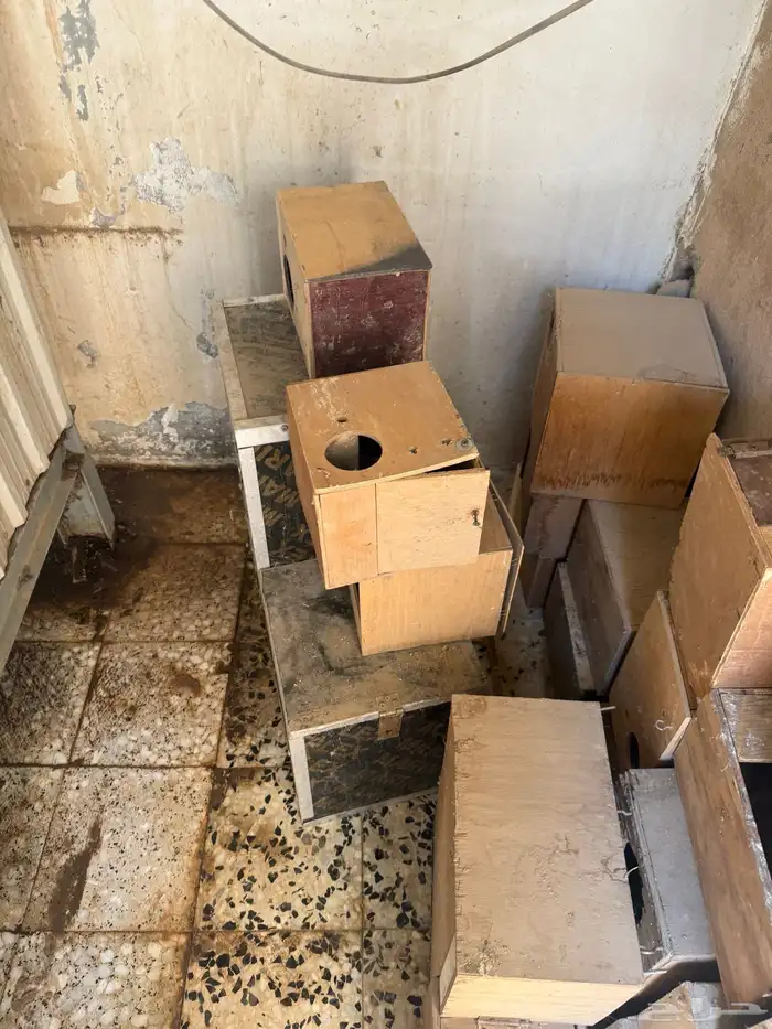 اقفاص وبياضات مستعمله للبيع 9