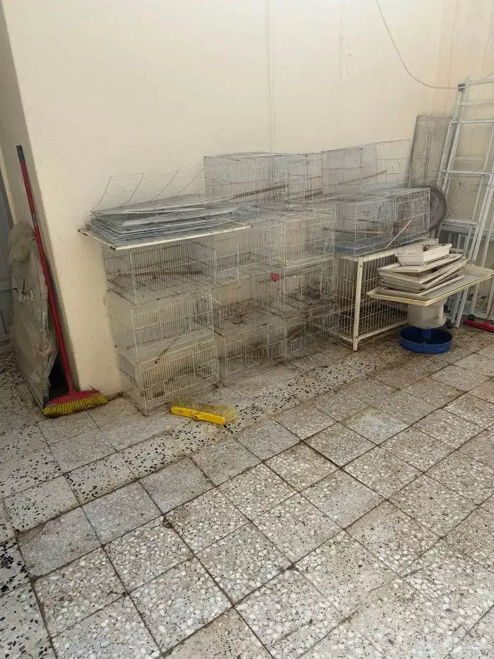 اقفاص وبياضات مستعمله للبيع 1