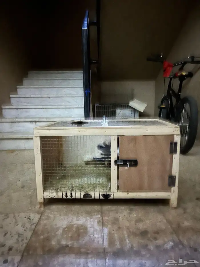 محكمة نظيف مستخدم أسبوع واحد على السوم بدون الحمام 5