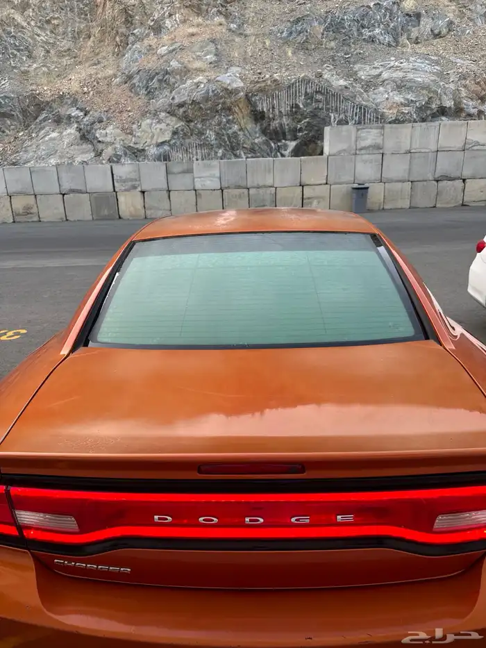 تشارجر 2011 6 سرندل 2